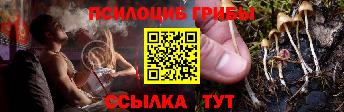 Галлюциногенные грибы прущие грибы  Вход с VPN  Губкинский 